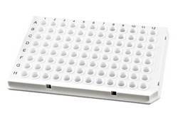 qPCR-Plates 96 + 384 Well Low Profile TreffLab