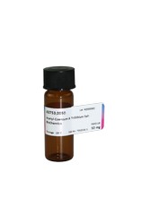 Acetyl-Coenzym A Trilithium Salt BioChemica