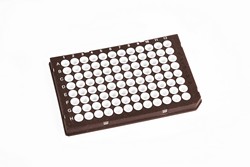 B-Frame® BIOCOMPOSITE 96 Well PCR Plate, Semi-Skirted, Low Profile, Roche style Arvensis