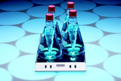 Magnetic Stirrer with internal Controller, with individually controlled stirring positions 2mag