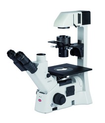 Inverses Mikroskop AE31E Motic