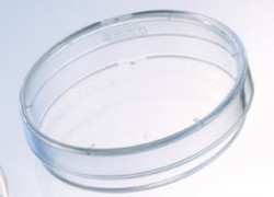 Cell Culture Dish Poly-L-Lysin Cellcoat® Greiner Bio-One