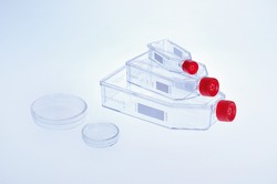 Cell Culture Dishes / Flasks Poly-D-Lysine CELLCOAT® Greiner Bio-One