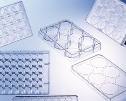 Cell Culture Multiwell Plates CELLSTAR® for improved cell adhesion