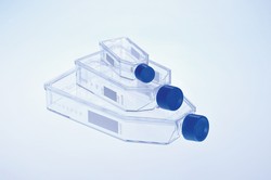 Filter Cap Cell Culture Flasks Advanced TC™ Greiner Bio-One