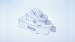 Filter Cap Suspension Culture Flasks CELLSTAR® Greiner Bio-One