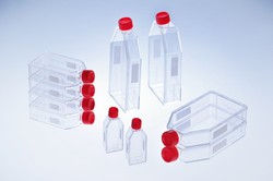 Zellkultur Flaschen CELLSTAR® Standard Greiner Bio-One
