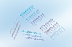PCR 8-tube Strips Sapphire Greiner Bio-One