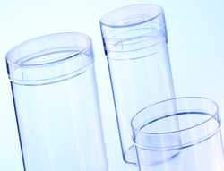 Containers for Plant Tissue Culture Greiner Bio-One